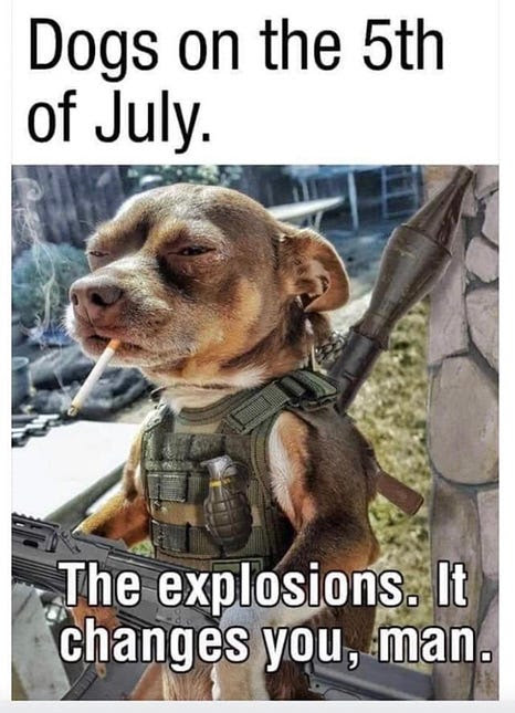 dogs 5th.jpg